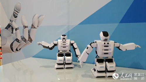 哈尔滨市首批 智能机器人课程教室 在平房区投入使用